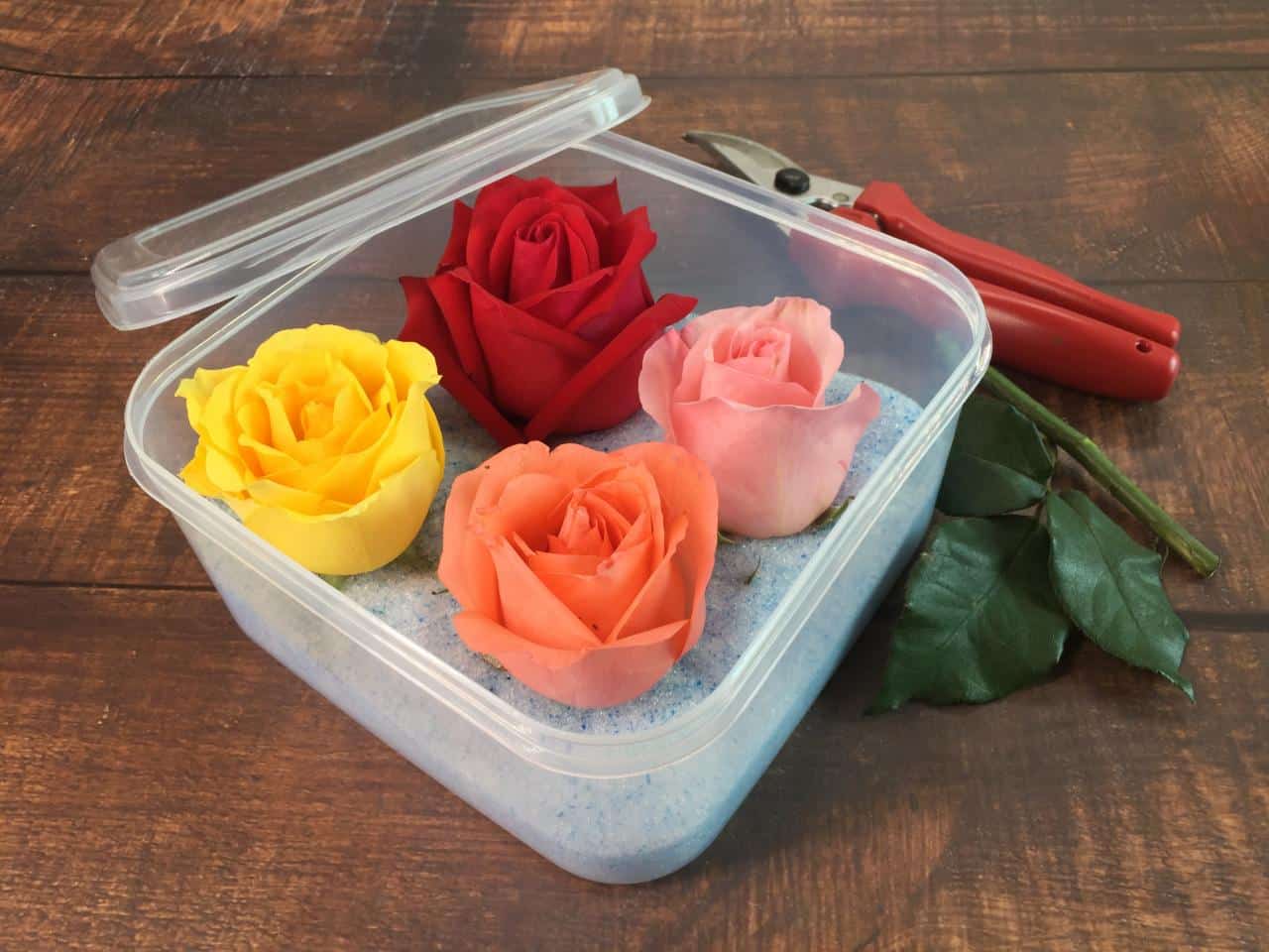 how to preserve flowers