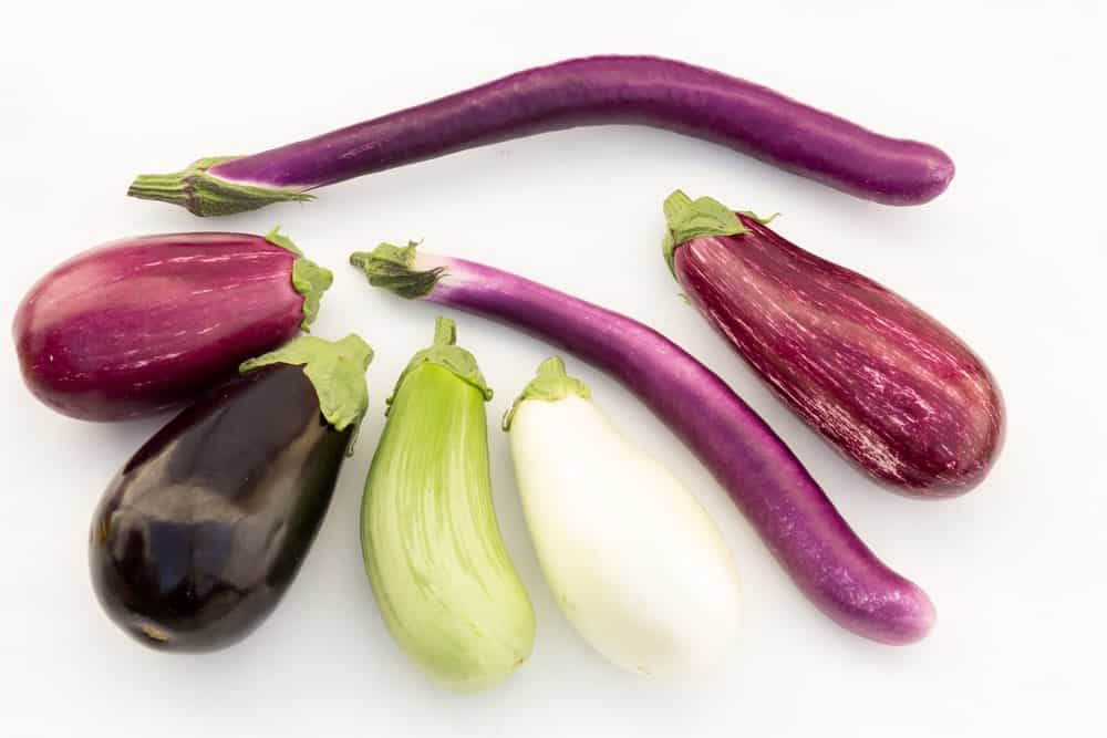 types of eggplants