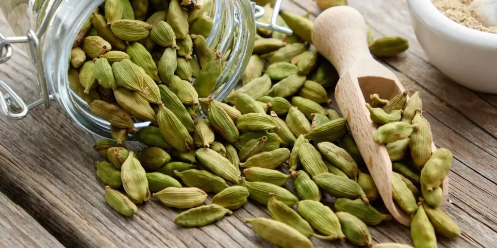 How to Plant, Grow and Care Cardamom 6 cardamom