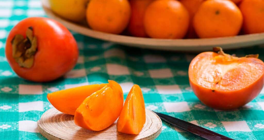 grow persimmon from seeds