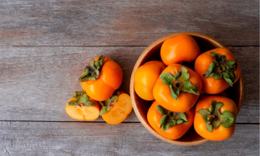 how to grow persimmon