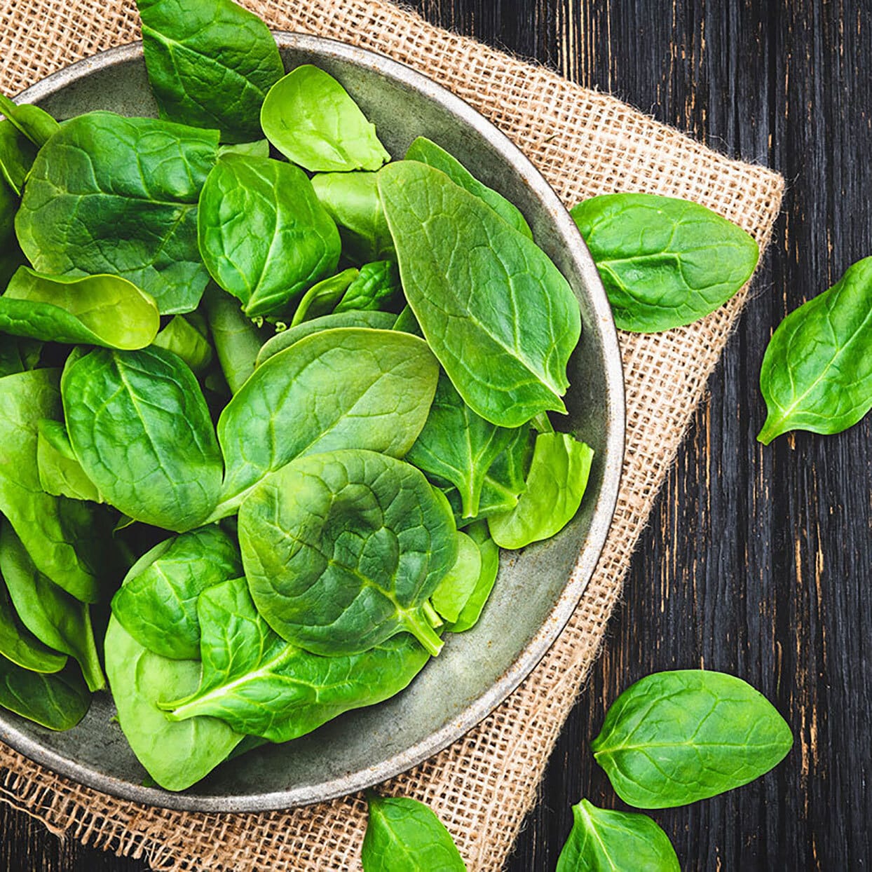 How to Plant, Grow and Harvest Spinach